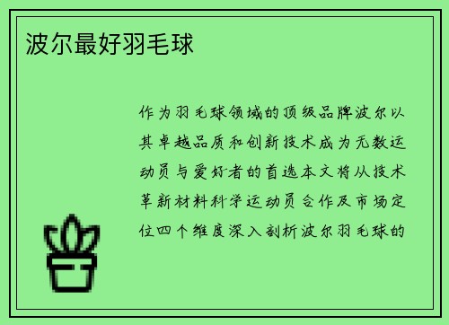 波尔最好羽毛球